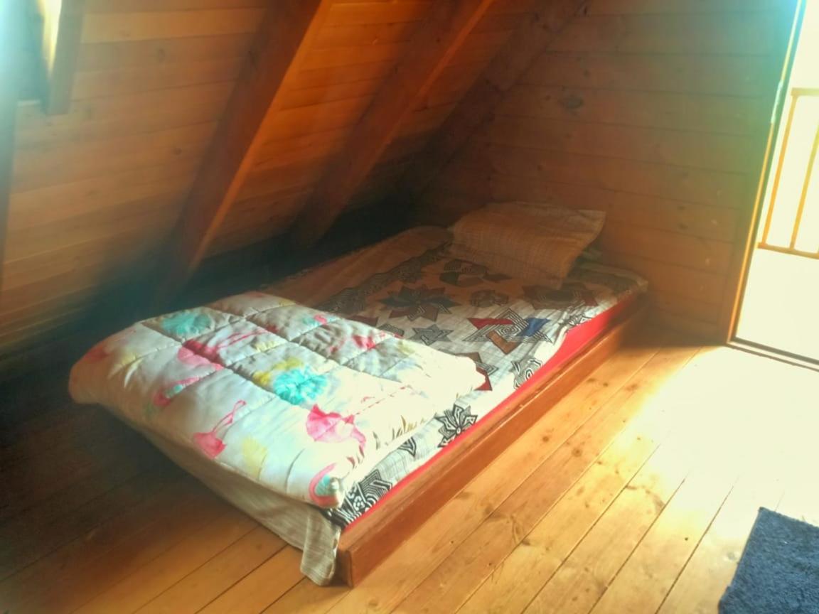 Villa Joy Eco Woodhouse - 5 Bhk House (Adults Only) à Ooty Extérieur photo
